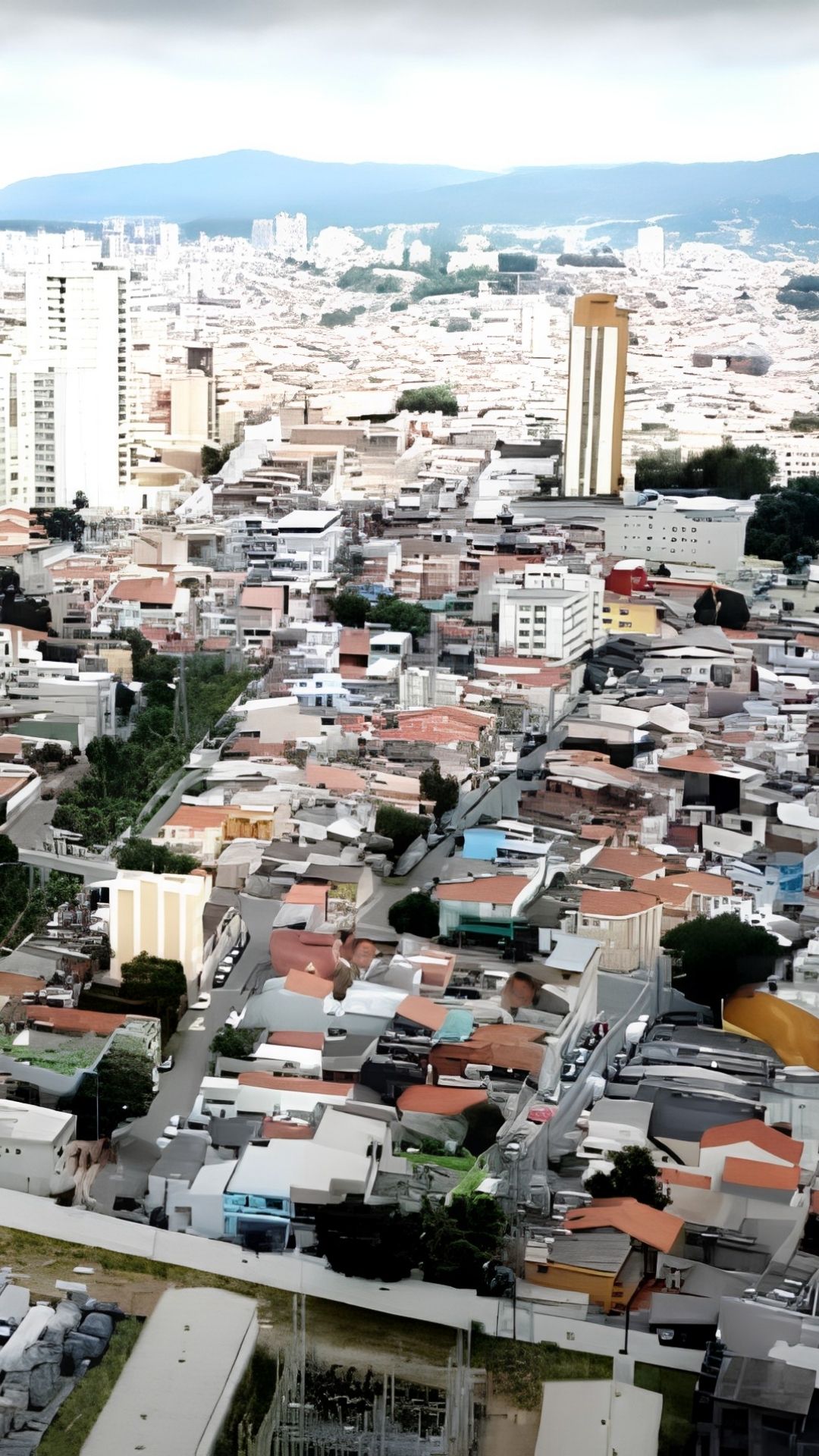 Jardim Brasil